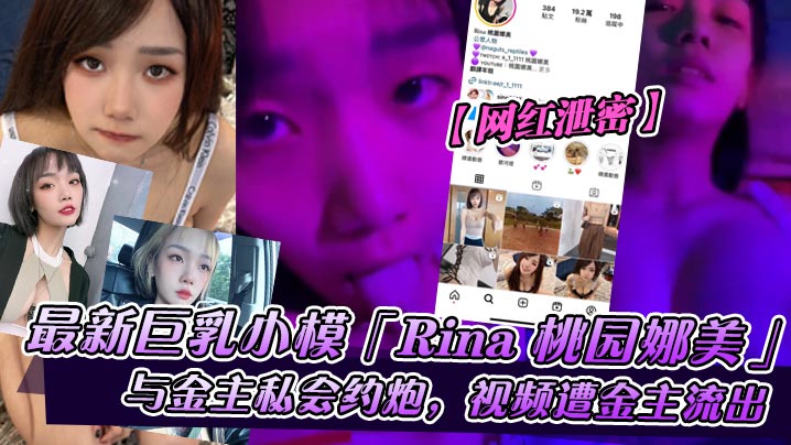 巨乳网红小模Rina桃园娜美被金主爆操内射私会视频泄密